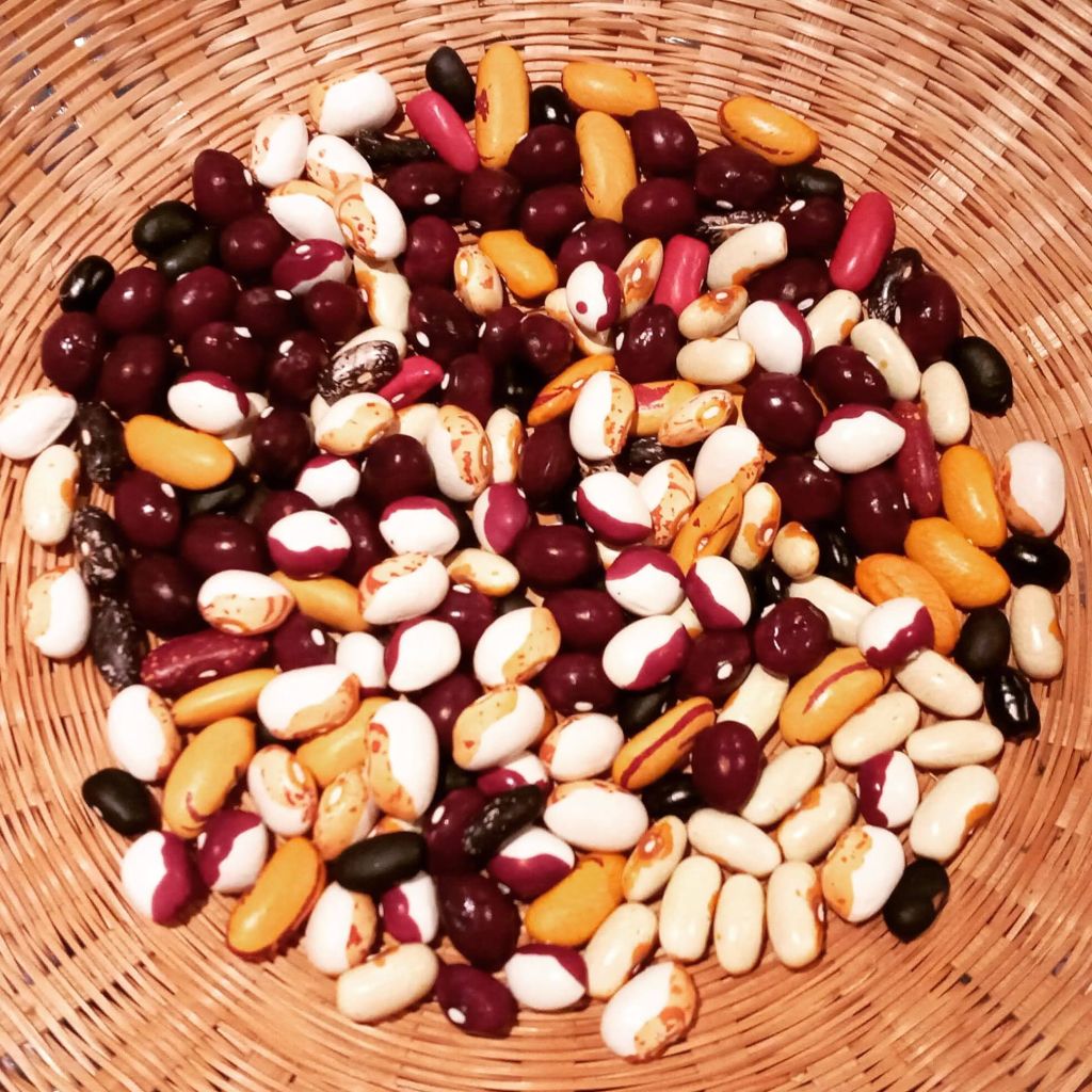 Seedy Saturdays and Sundays are Coming!